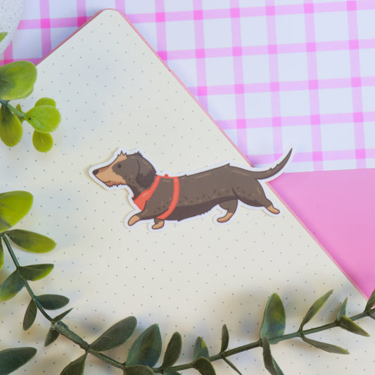 Otis (Wire Haired Dachshund) Sticker