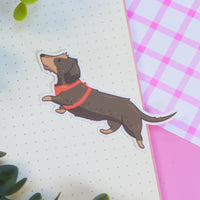 Otis (Wire Haired Dachshund) Sticker